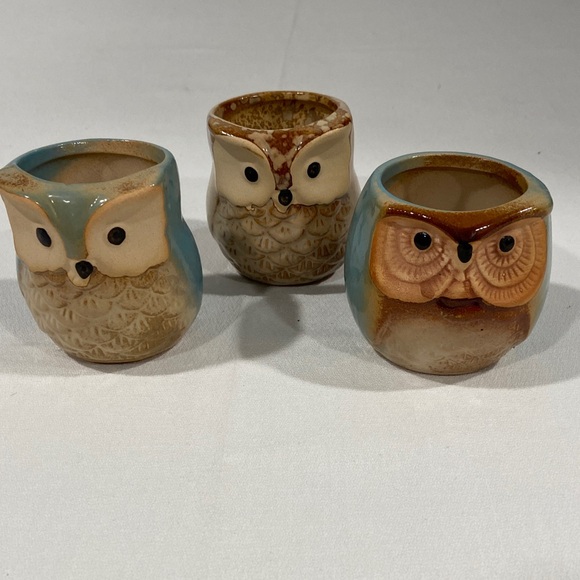 Other - Set of 3 Mini Owl Ceramic Planters • Air Plant / Toothpick Holders